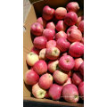 Nouvelle récolte de pommes fraîches / Chines Fruits de haute qualité